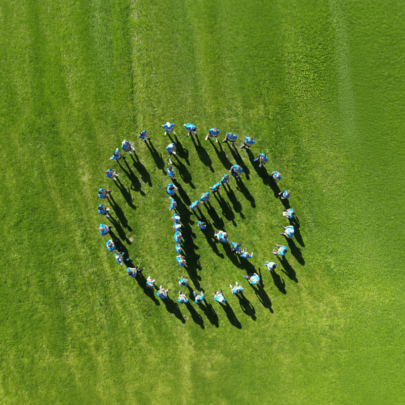 Our company