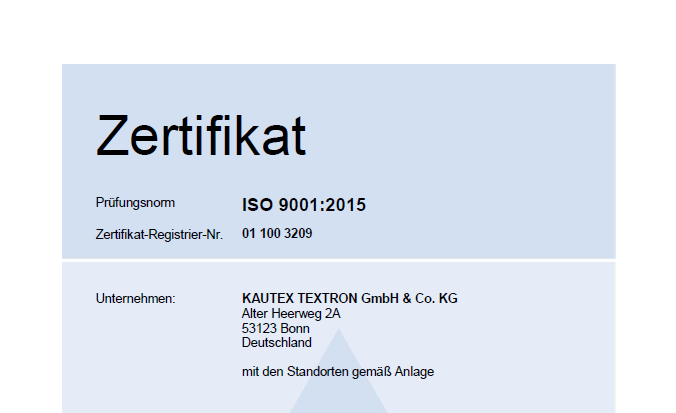 ISO 9001 Hauptzertifikat Bild