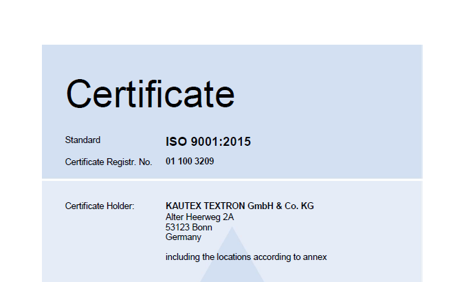 ISO 9001 Main Certificate Bild