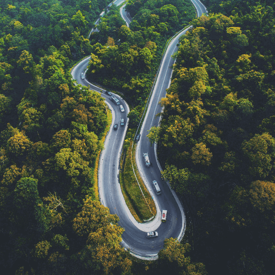 winding road in a forest