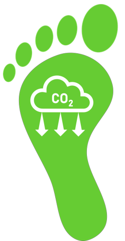 Fussabdruck